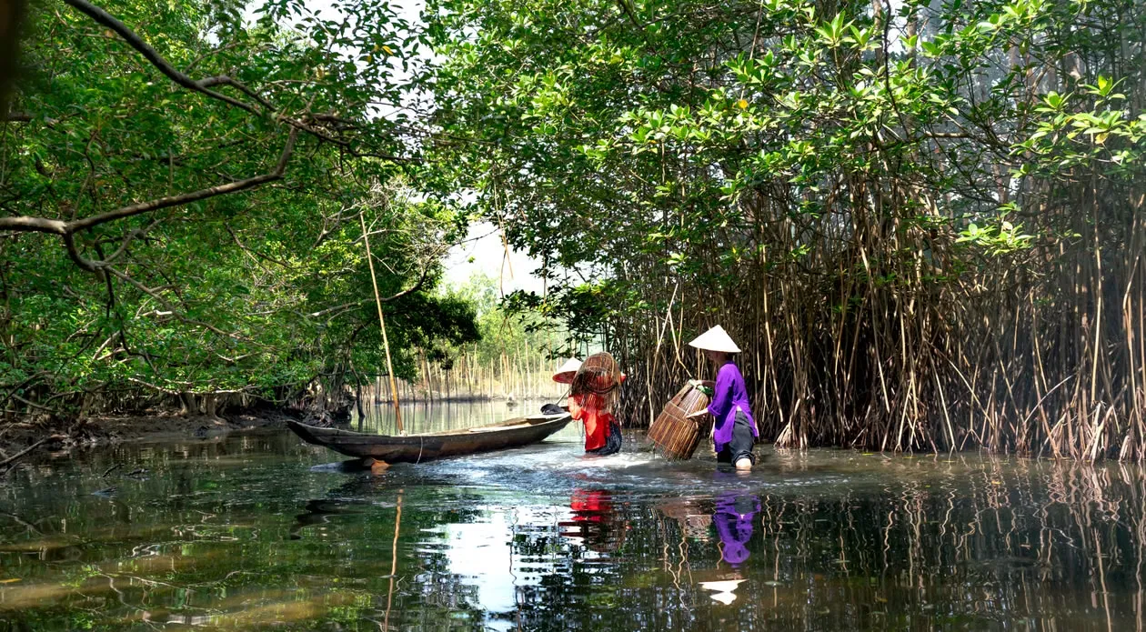 Ca Mau : 10 étapes mythiques à atteindre au bout du voyage