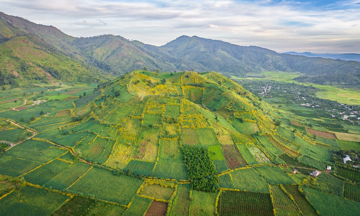 Le cône volcanique de Chu Dang Ya: topographie basaltique et floraison saisonnière à Gia Lai