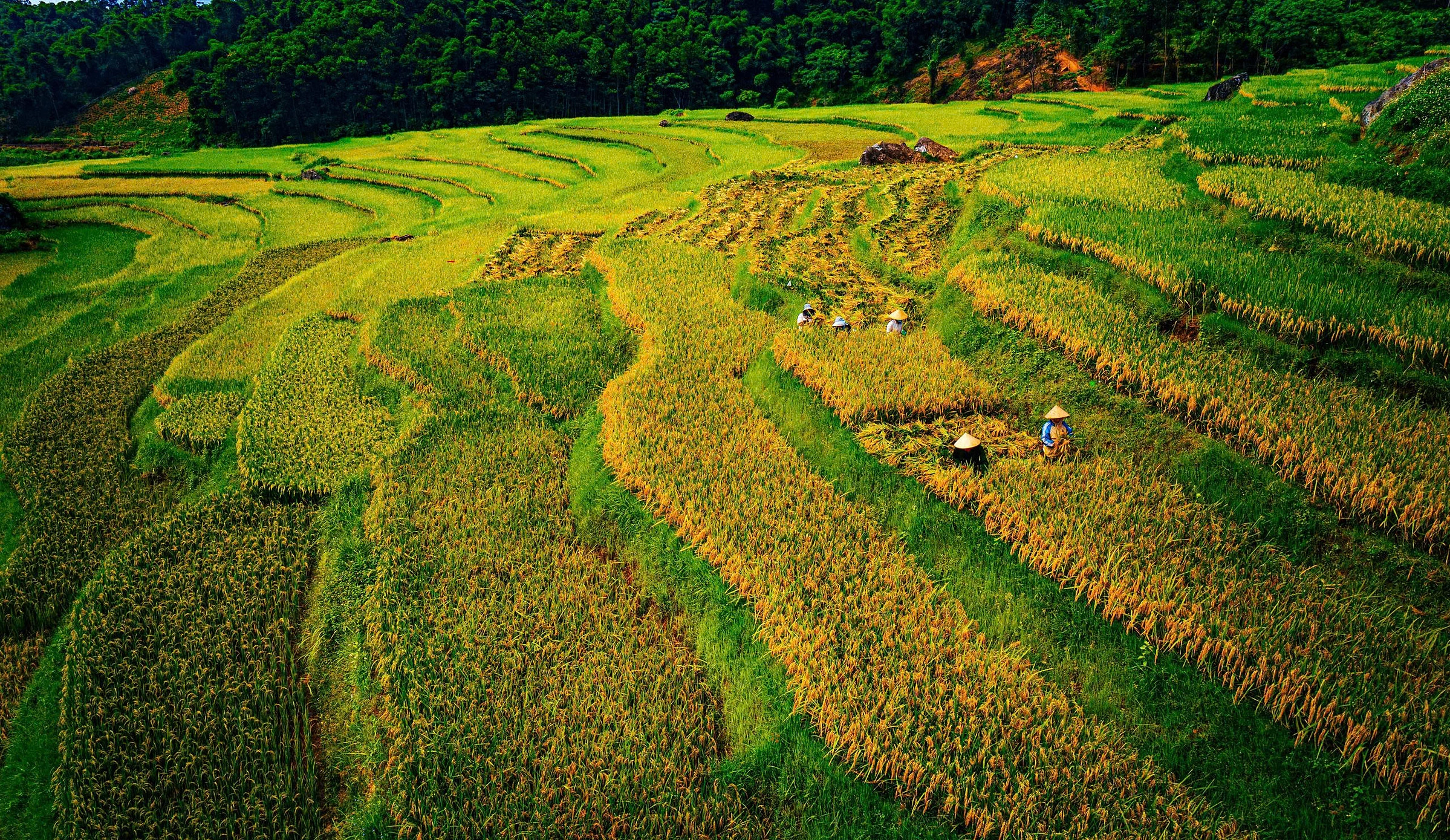 Randonnée à la réserve de Pu Luong: de la fraîcheur du village à la conquête des sommets de Thanh Hoa