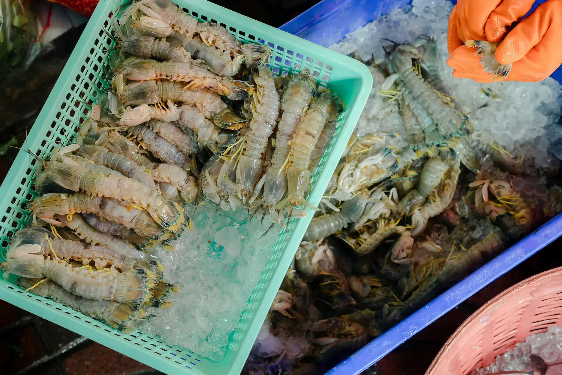 L’odyssée culinaire de Quang Ninh: entre sel marin et terroir sacré