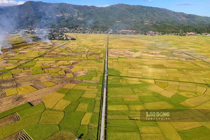 La plaine de Muong Thanh à Dien Bien : carnet de route entre mémoire historique et patrimoine rizicole du Tay Bac